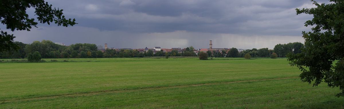 Weite Wiesenlandschaft am Rand von Fürth unter bewölktem Himmel