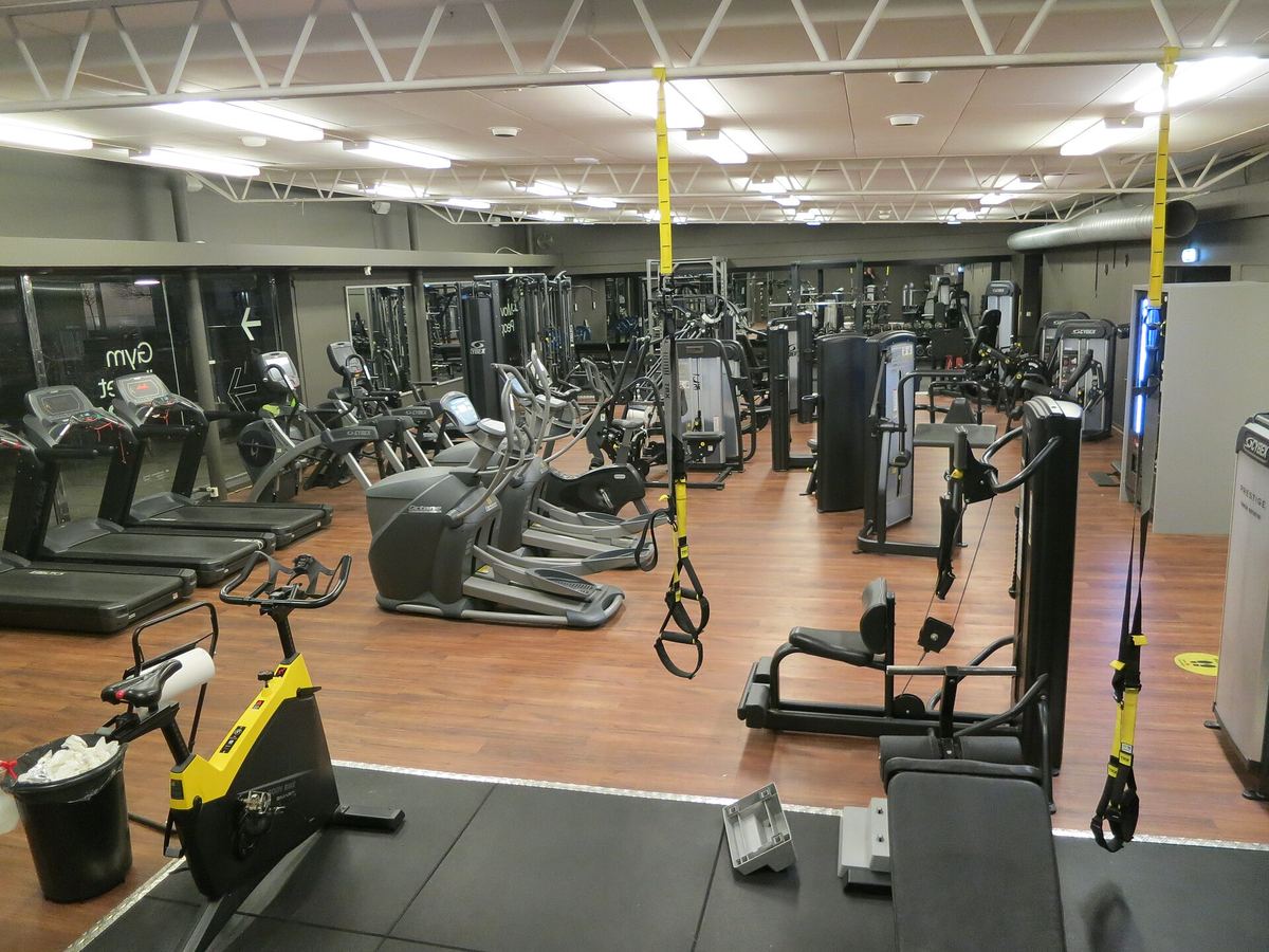 Gelbe Schlingentrainer hängen von der Decke über einer Trainingsfläche